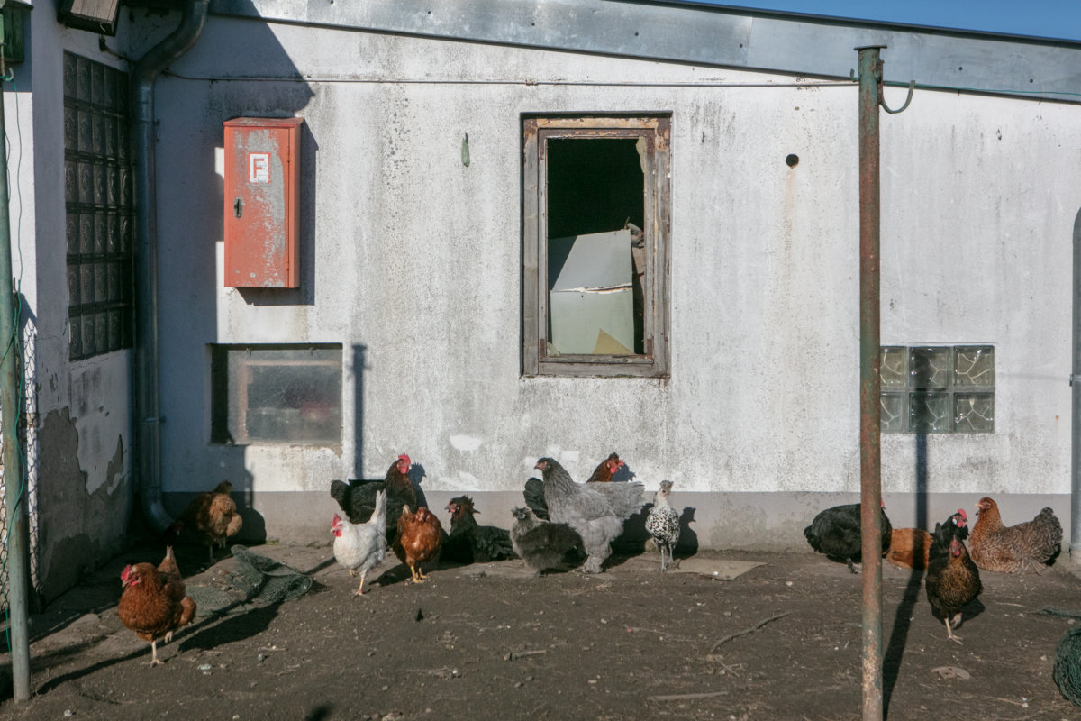 Dolgen - Hou Hedayat