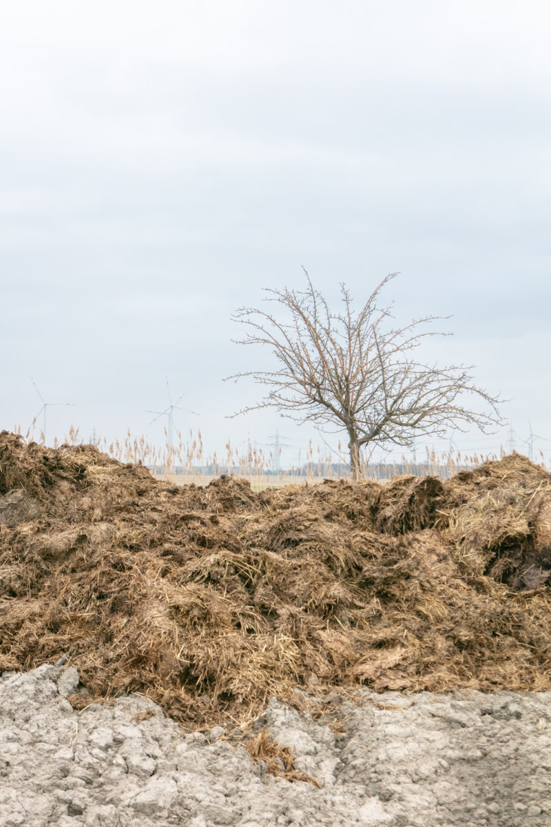 Dolgen - Hou Hedayat