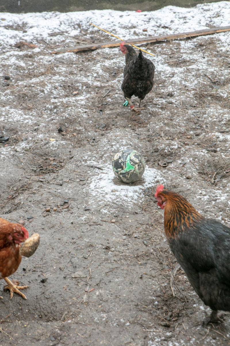 Dolgen - Hou Hedayat