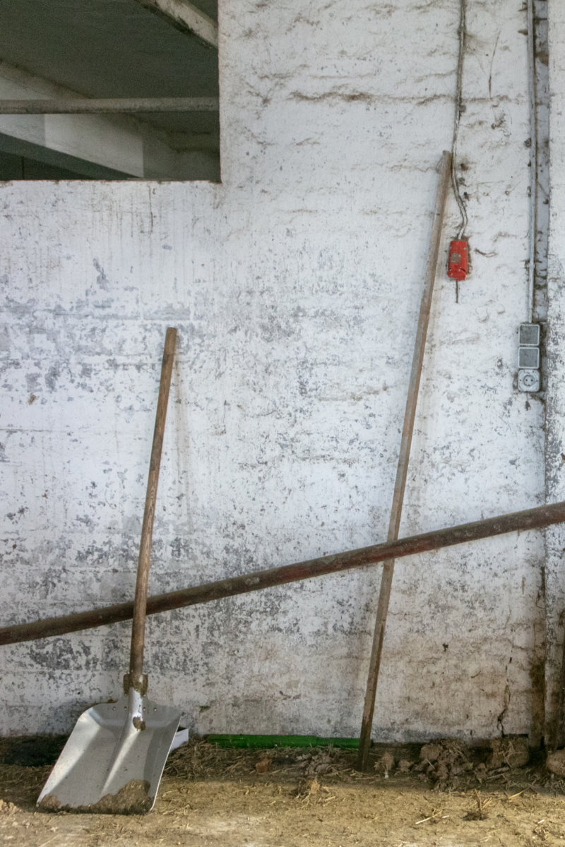 Dolgen - Hou Hedayat