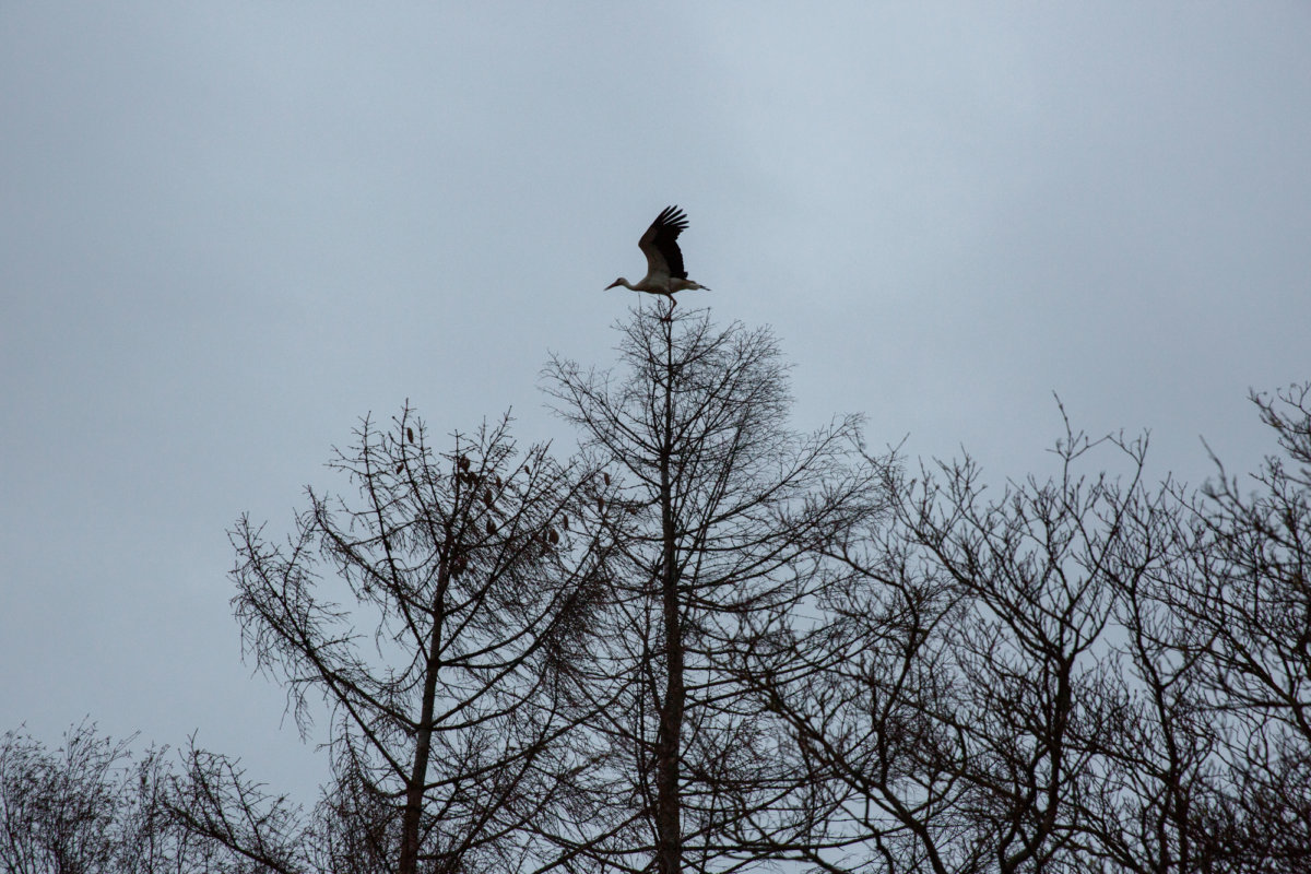 Dolgen - Hou Hedayat