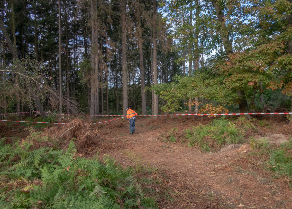 The Constant Defense - Hou Hedayat