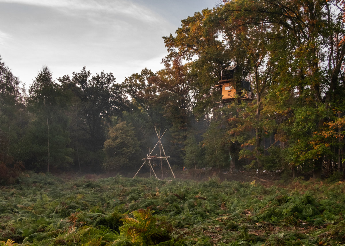 The Constant Defense - Hou Hedayat